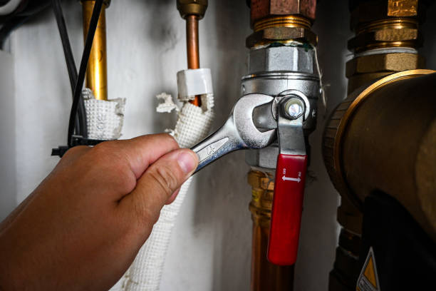 Best Leak Detection Services  in Mantachie, MS